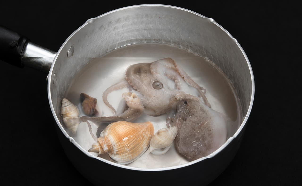 4단계 조리 사진